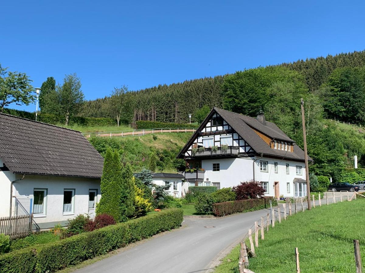 Ferienwohnung Duennebacke 施马伦贝格 外观 照片