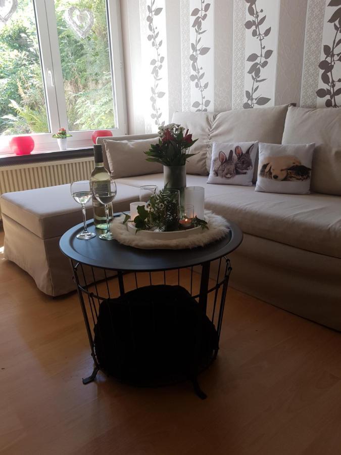 Ferienwohnung Duennebacke 施马伦贝格 外观 照片